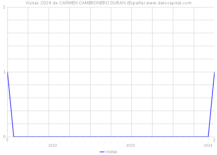 Visitas 2024 de CARMEN CAMBRONERO DURAN (España) 