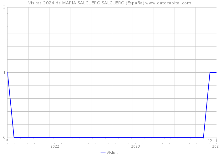 Visitas 2024 de MARIA SALGUERO SALGUERO (España) 