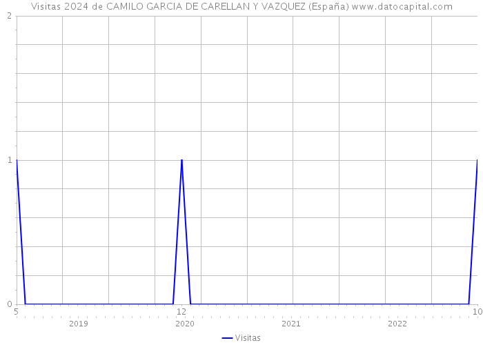 Visitas 2024 de CAMILO GARCIA DE CARELLAN Y VAZQUEZ (España) 
