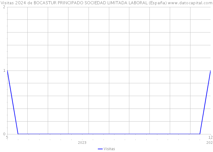 Visitas 2024 de BOCASTUR PRINCIPADO SOCIEDAD LIMITADA LABORAL (España) 