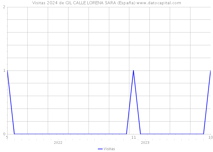 Visitas 2024 de GIL CALLE LORENA SARA (España) 