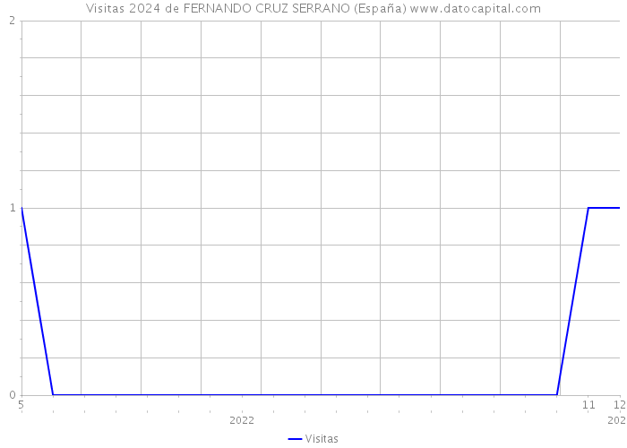 Visitas 2024 de FERNANDO CRUZ SERRANO (España) 