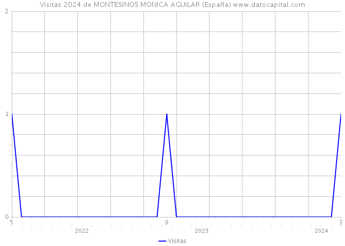 Visitas 2024 de MONTESINOS MONICA AGUILAR (España) 