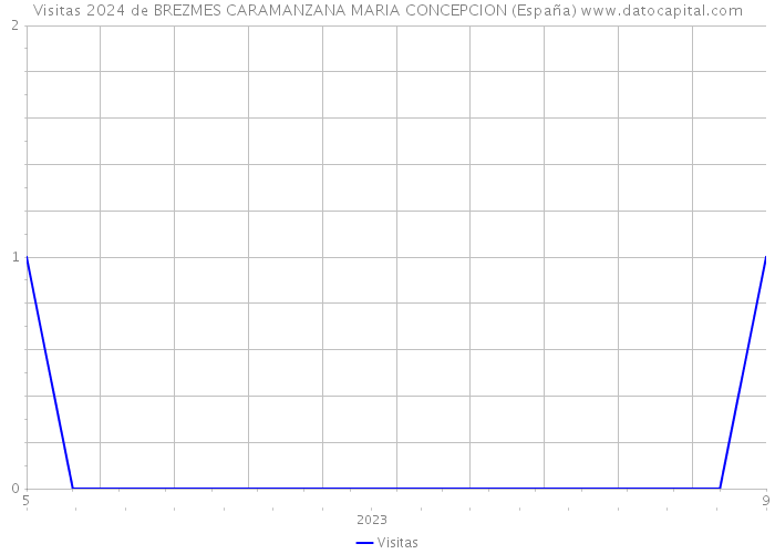 Visitas 2024 de BREZMES CARAMANZANA MARIA CONCEPCION (España) 