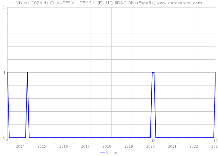 Visitas 2024 de GUANTES VULTEX S.L. (EN LIQUIDACION) (España) 