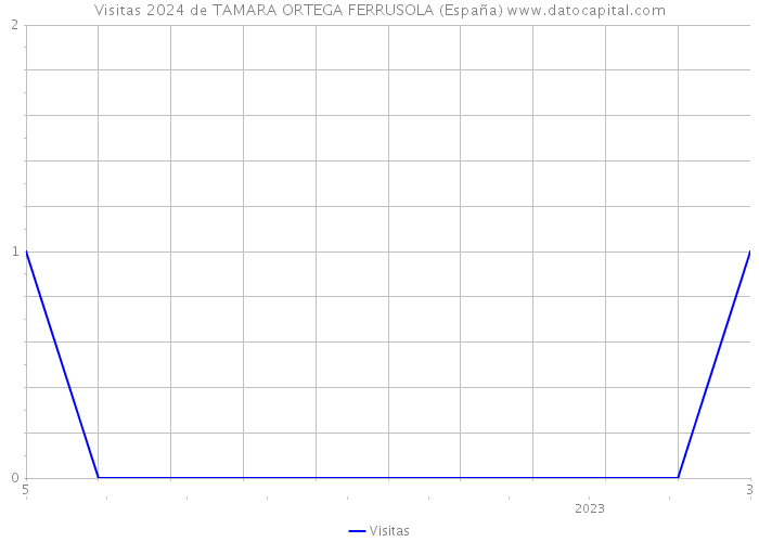 Visitas 2024 de TAMARA ORTEGA FERRUSOLA (España) 
