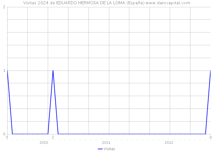 Visitas 2024 de EDUARDO HERMOSA DE LA LOMA (España) 