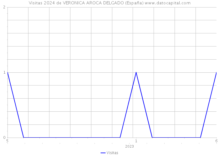 Visitas 2024 de VERONICA AROCA DELGADO (España) 