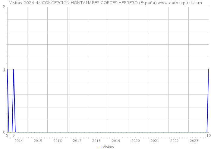 Visitas 2024 de CONCEPCION HONTANARES CORTES HERRERO (España) 