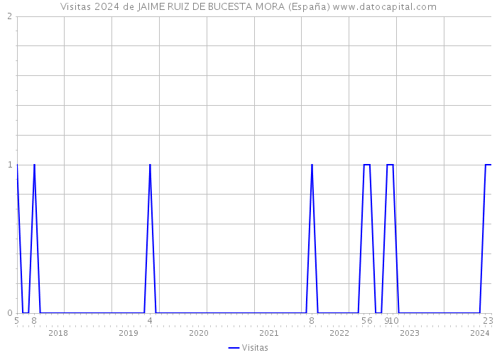 Visitas 2024 de JAIME RUIZ DE BUCESTA MORA (España) 