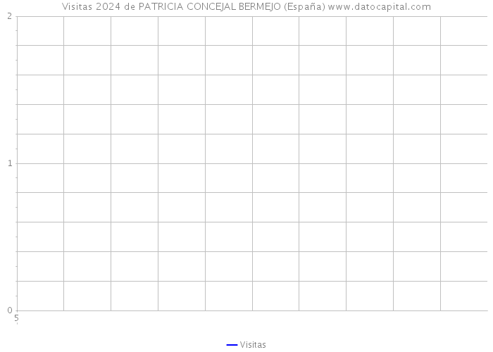 Visitas 2024 de PATRICIA CONCEJAL BERMEJO (España) 