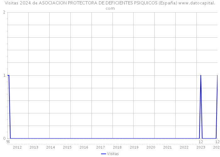 Visitas 2024 de ASOCIACION PROTECTORA DE DEFICIENTES PSIQUICOS (España) 
