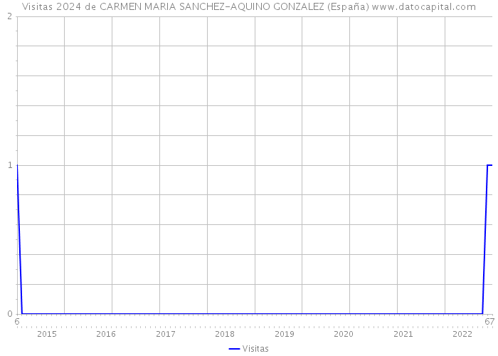 Visitas 2024 de CARMEN MARIA SANCHEZ-AQUINO GONZALEZ (España) 