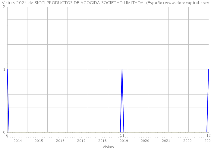 Visitas 2024 de BIGGI PRODUCTOS DE ACOGIDA SOCIEDAD LIMITADA. (España) 