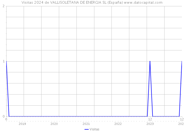 Visitas 2024 de VALLISOLETANA DE ENERGIA SL (España) 