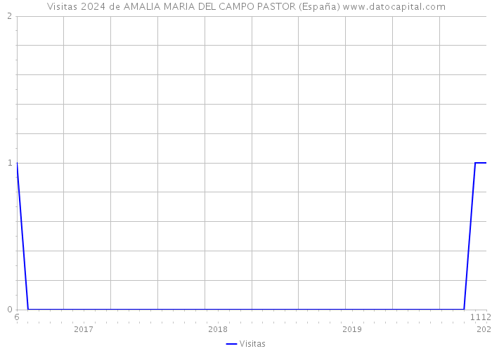 Visitas 2024 de AMALIA MARIA DEL CAMPO PASTOR (España) 