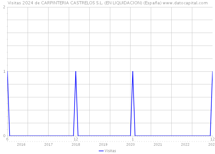 Visitas 2024 de CARPINTERIA CASTRELOS S.L. (EN LIQUIDACION) (España) 
