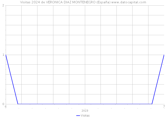 Visitas 2024 de VERONICA DIAZ MONTENEGRO (España) 