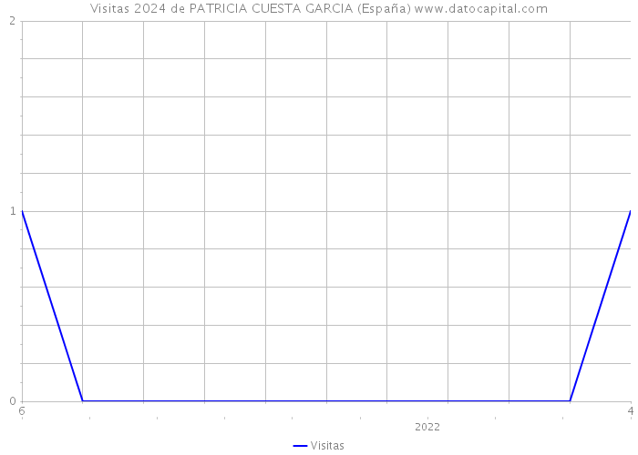 Visitas 2024 de PATRICIA CUESTA GARCIA (España) 