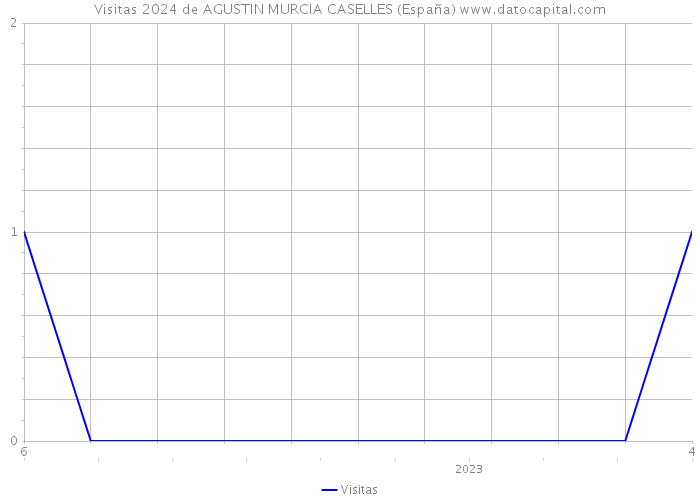 Visitas 2024 de AGUSTIN MURCIA CASELLES (España) 