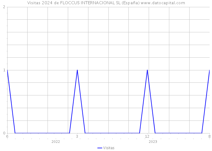 Visitas 2024 de FLOCCUS INTERNACIONAL SL (España) 