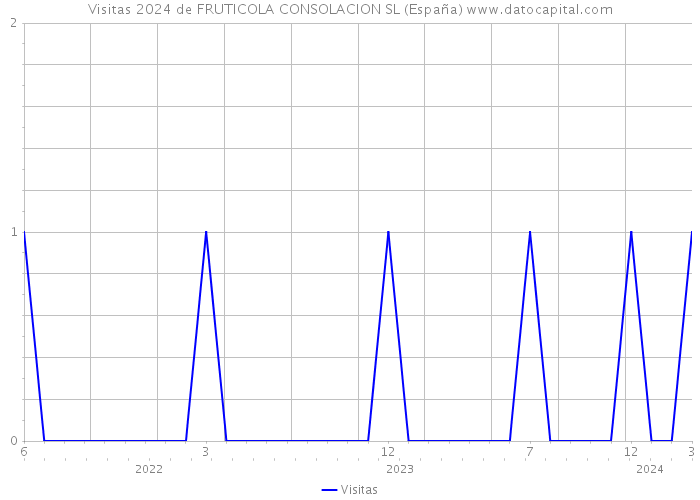 Visitas 2024 de FRUTICOLA CONSOLACION SL (España) 