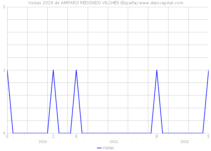 Visitas 2024 de AMPARO REDONDO VILCHES (España) 