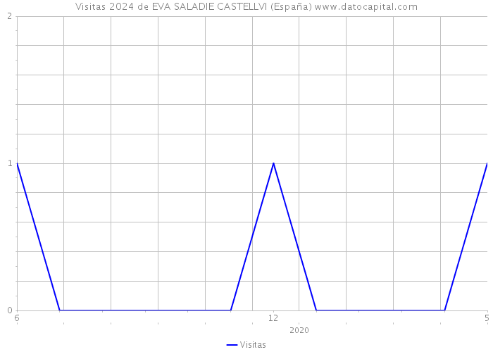 Visitas 2024 de EVA SALADIE CASTELLVI (España) 