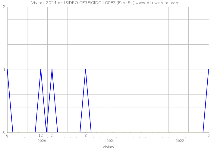 Visitas 2024 de ISIDRO CEREIGIDO LOPEZ (España) 