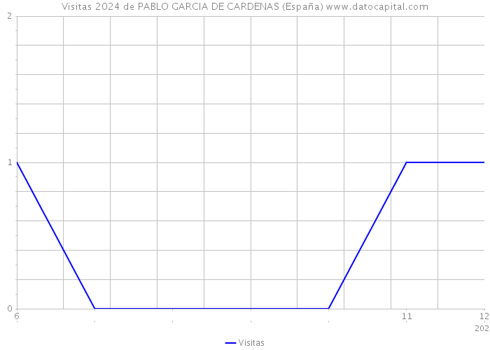 Visitas 2024 de PABLO GARCIA DE CARDENAS (España) 