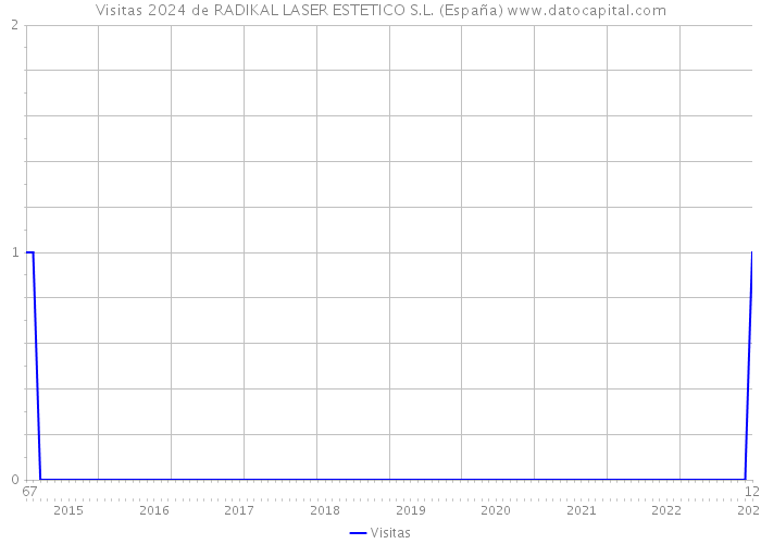Visitas 2024 de RADIKAL LASER ESTETICO S.L. (España) 