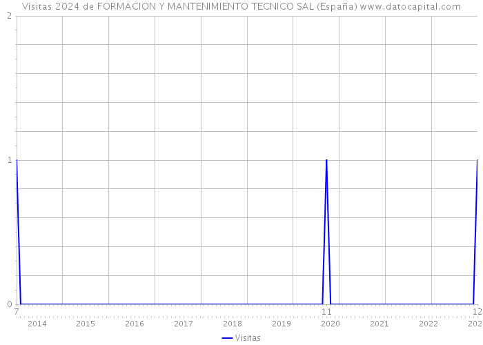 Visitas 2024 de FORMACION Y MANTENIMIENTO TECNICO SAL (España) 