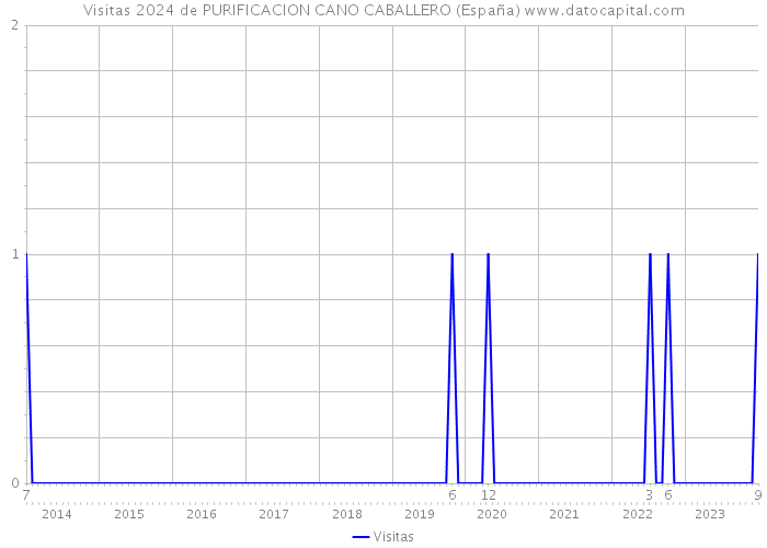 Visitas 2024 de PURIFICACION CANO CABALLERO (España) 