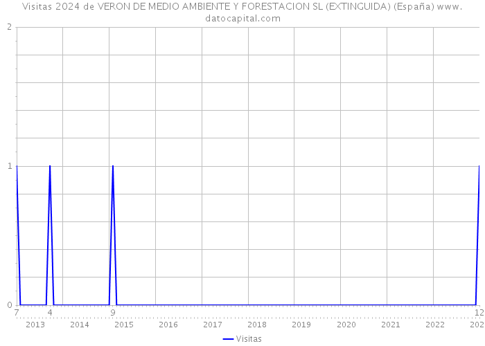 Visitas 2024 de VERON DE MEDIO AMBIENTE Y FORESTACION SL (EXTINGUIDA) (España) 