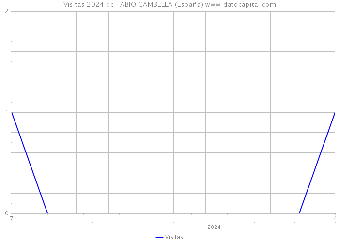 Visitas 2024 de FABIO GAMBELLA (España) 