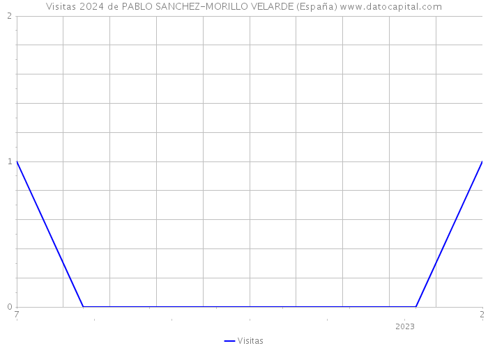 Visitas 2024 de PABLO SANCHEZ-MORILLO VELARDE (España) 