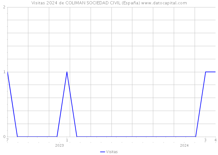 Visitas 2024 de COLIMAN SOCIEDAD CIVIL (España) 