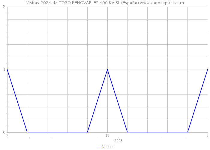 Visitas 2024 de TORO RENOVABLES 400 KV SL (España) 