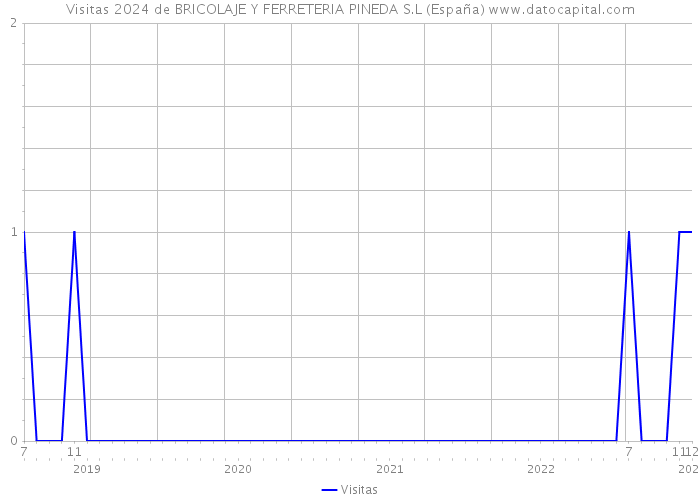 Visitas 2024 de BRICOLAJE Y FERRETERIA PINEDA S.L (España) 
