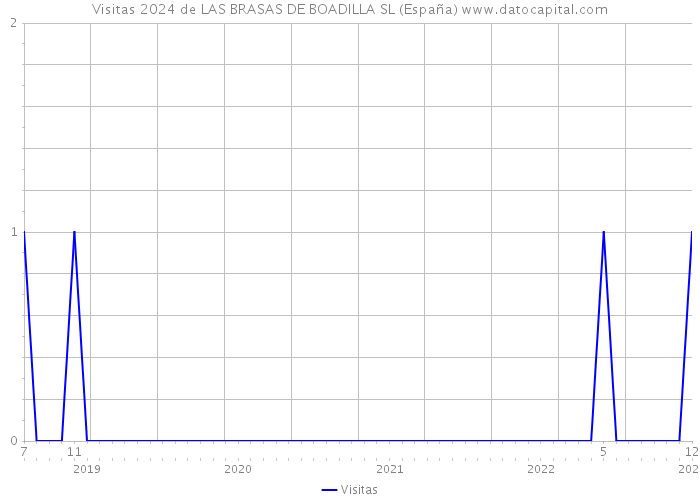 Visitas 2024 de LAS BRASAS DE BOADILLA SL (España) 