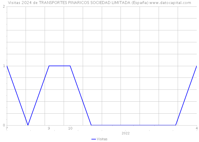 Visitas 2024 de TRANSPORTES PINARICOS SOCIEDAD LIMITADA (España) 