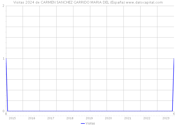Visitas 2024 de CARMEN SANCHEZ GARRIDO MARIA DEL (España) 