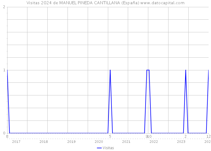 Visitas 2024 de MANUEL PINEDA CANTILLANA (España) 
