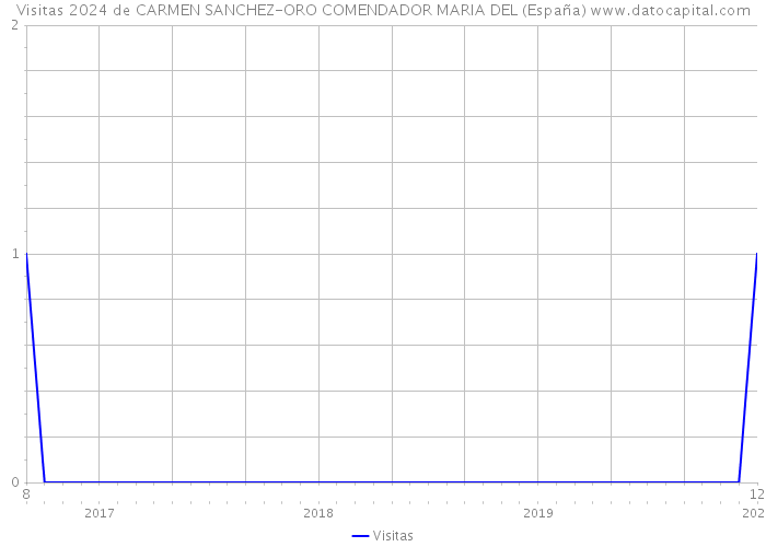 Visitas 2024 de CARMEN SANCHEZ-ORO COMENDADOR MARIA DEL (España) 