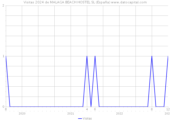 Visitas 2024 de MALAGA BEACH HOSTEL SL (España) 