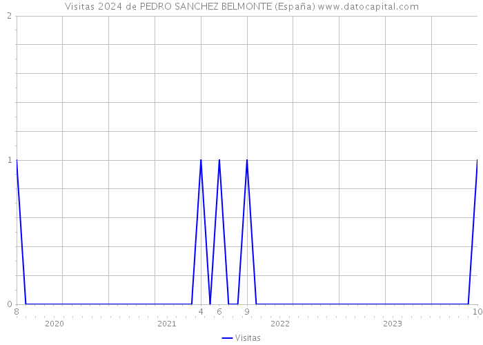Visitas 2024 de PEDRO SANCHEZ BELMONTE (España) 