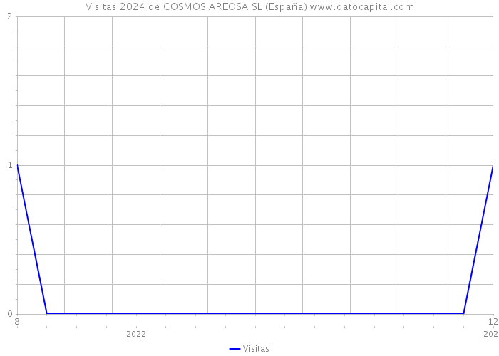 Visitas 2024 de COSMOS AREOSA SL (España) 