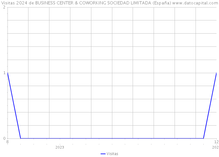 Visitas 2024 de BUSINESS CENTER & COWORKING SOCIEDAD LIMITADA (España) 