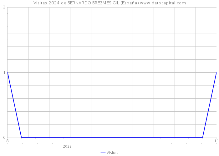 Visitas 2024 de BERNARDO BREZMES GIL (España) 