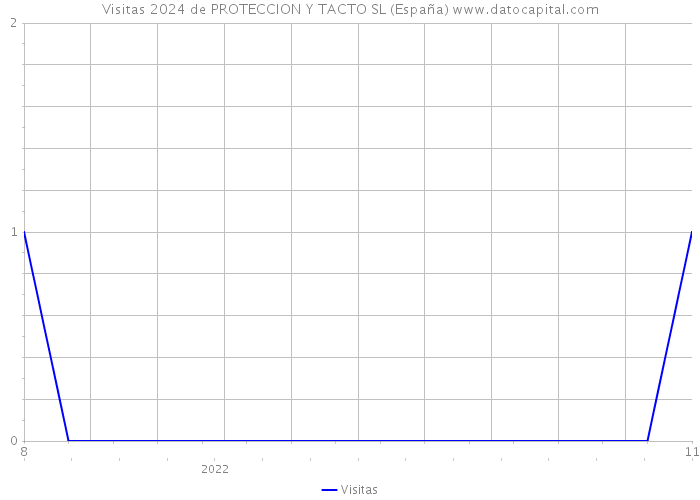 Visitas 2024 de PROTECCION Y TACTO SL (España) 